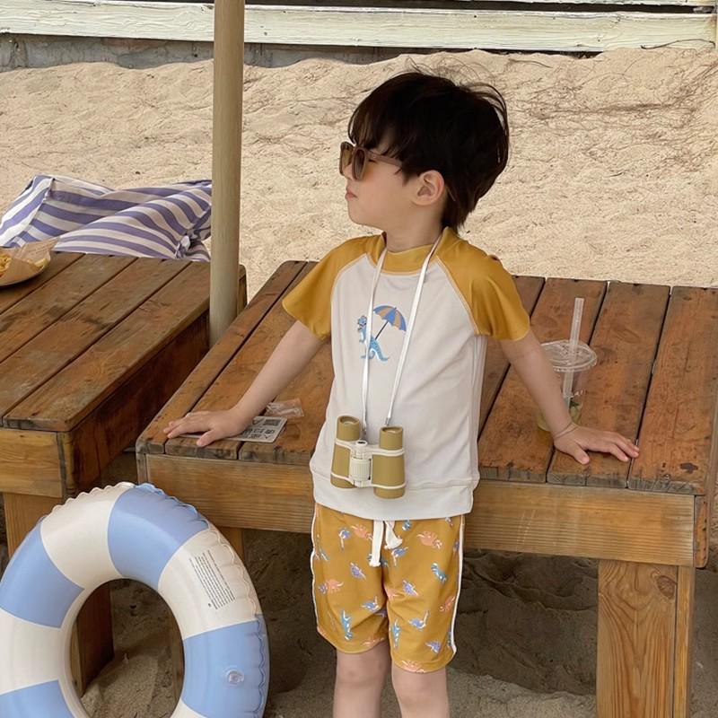 

Boys Cute Dinosaur Quick-Drying Swimsuit Set - Short-Sleeved Swim Trunks for Small to Medium Children Size 90 (Height ~80cm)