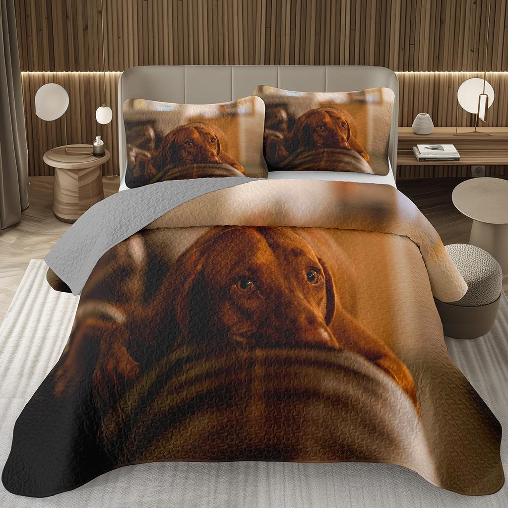 Copriletto Divertente per Cani Singolo Matrimoniale Kawaii Coperta Animale Cartone Animato Cani da Compagnia Set Biancheria da Letto Per Bambini e Bambine Copriletti Trapuntati Reversibili