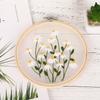 Feiyang Transparent Yarn Embroidery Diy Handmade Embroidery Material Package, Needle And Thread Set