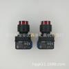 Illuminated Self-Locking Push Button Switch: YW1L-AF2E20QM3R / YW1L-AF2E10Q0R