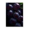 Tasty Fruit Kitchen Canvas Paintings Watermelon Banana Apple Lemon Poster Wall Art HD Picture For Interior Decor Frameless