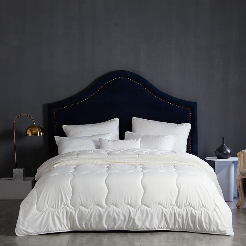 

Mengjie Home Textiles New Zealand Wool Blend Four-Season Quilt