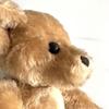 [USED] Teddy Bear Merrythought