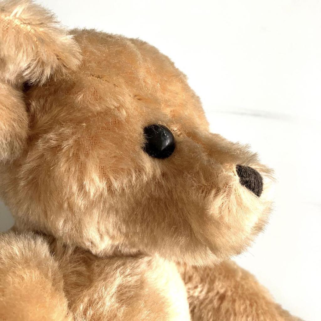 [USED] Teddy Bear Merrythought
