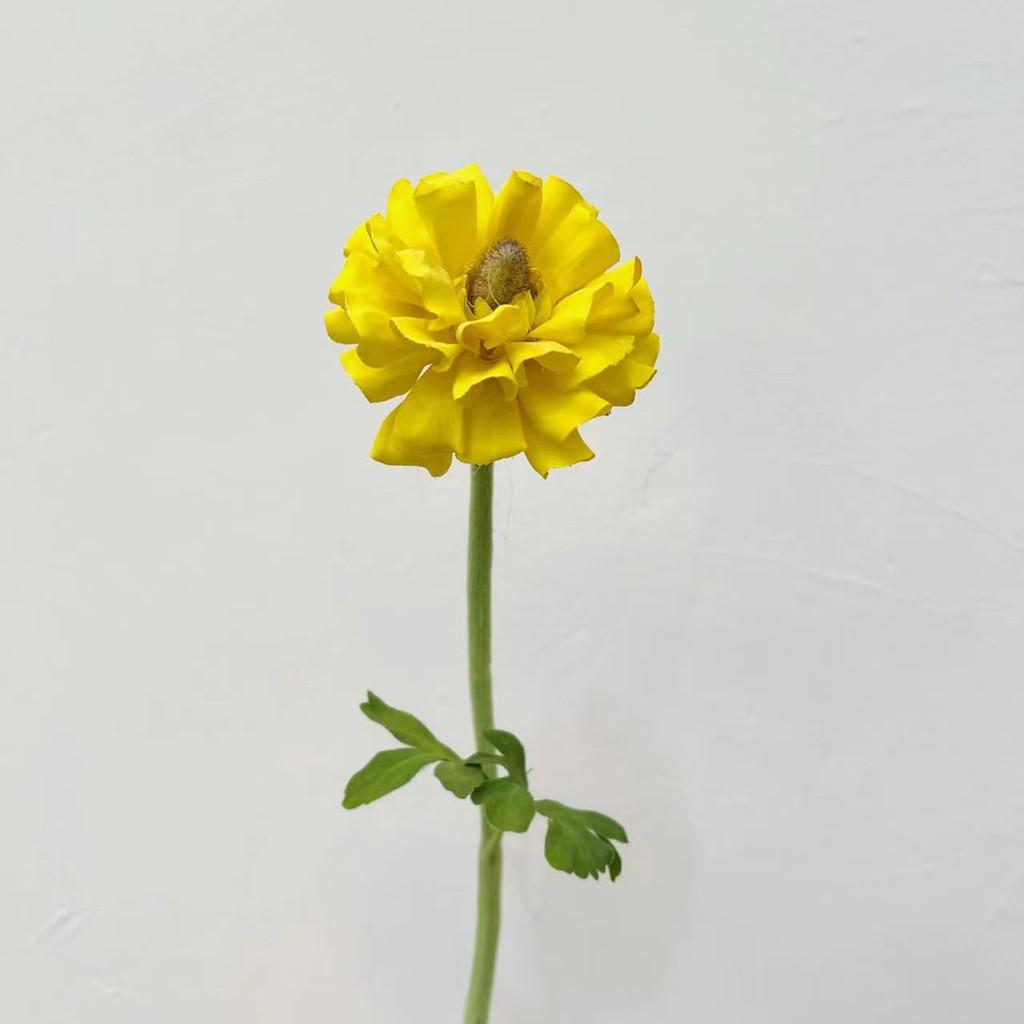 

Высококачественный многоуровневый цветок лотоса, оранжевый, имитация пиона, гостиная, спальня, стол, цветок, отель, цветочное украшение, искусственный цветок жёлтый