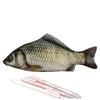 Creative Realistic Crucian Carp Pencil Case, Funny Fish Shaped Stationery Pouch for Students
