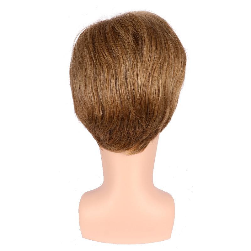 Synthetic Dark Brown Hair Natural Wig for Men Breathable Heat Resistant Cosplay Halloween Short Male Wig with Bangs
