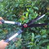 Powerful Gardening Pruning Shears: Flower, Tree, Grass, and Hedge Trimmers