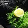 ATORAK Intensive Chamomile Soap 100g Sensitive Skin Care Handmade Soap