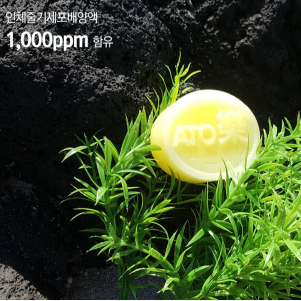 ATORAK Intensive Chamomile Soap 100g Sensitive Skin Care Handmade Soap