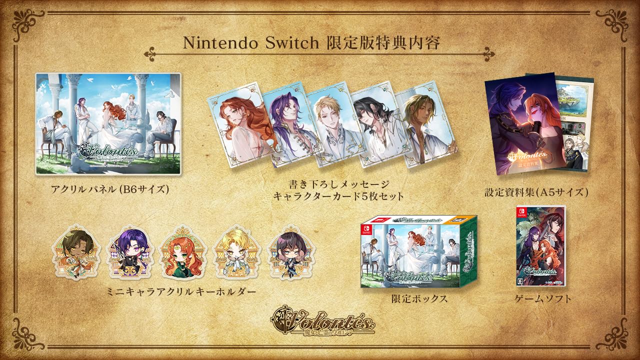 Ведьма и призрак Volonte Ограниченное издание Набор материалов для настройки Switch B6 Акриловый набор из 5 Оригинальный персонаж 5 Мини-персонажей Акрил