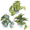 XiaZ Faux Greenery Tabletop Artificial Mini Potted Small Faux Stylish No Watering Care Perfect Gift for or Any Festival 3-Piece Set, Plants, Plants,