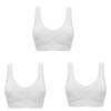 Sexy Bra Women Plus 3pcsset Size Seamless Bra No Pad Underwear Wireless Comfortable Active Bralette Brassiere Bra
