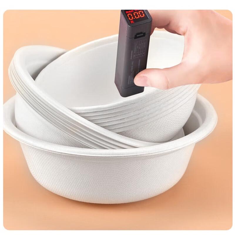 CIBO Disposable Bagasse Paper Plates