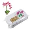 Engrais organique hydratant à base de mousse de sphaigne de jardin 6 L pour orchidée Phalaenopsis