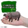 Takara Tomy Animal Dinosaur Realistic Moving Figure Toy for Ages 3 and Meets Toy Safety ST Mark Certified "Ania AS-06 Hippopotamus" Up, Standards,
