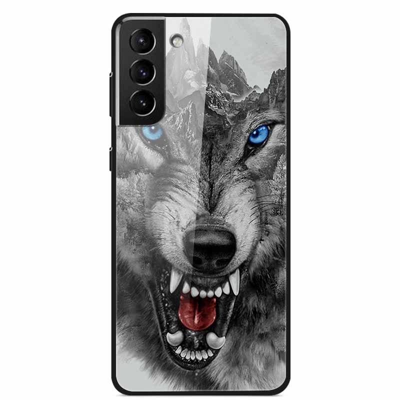 Tempered Glass Phone Cases for Samsung Galaxy S21 FE S20 S22 Plus Ultra 5G S 21 22 23 24 S23 S24 S24FE Cover Hard PC Back Shell