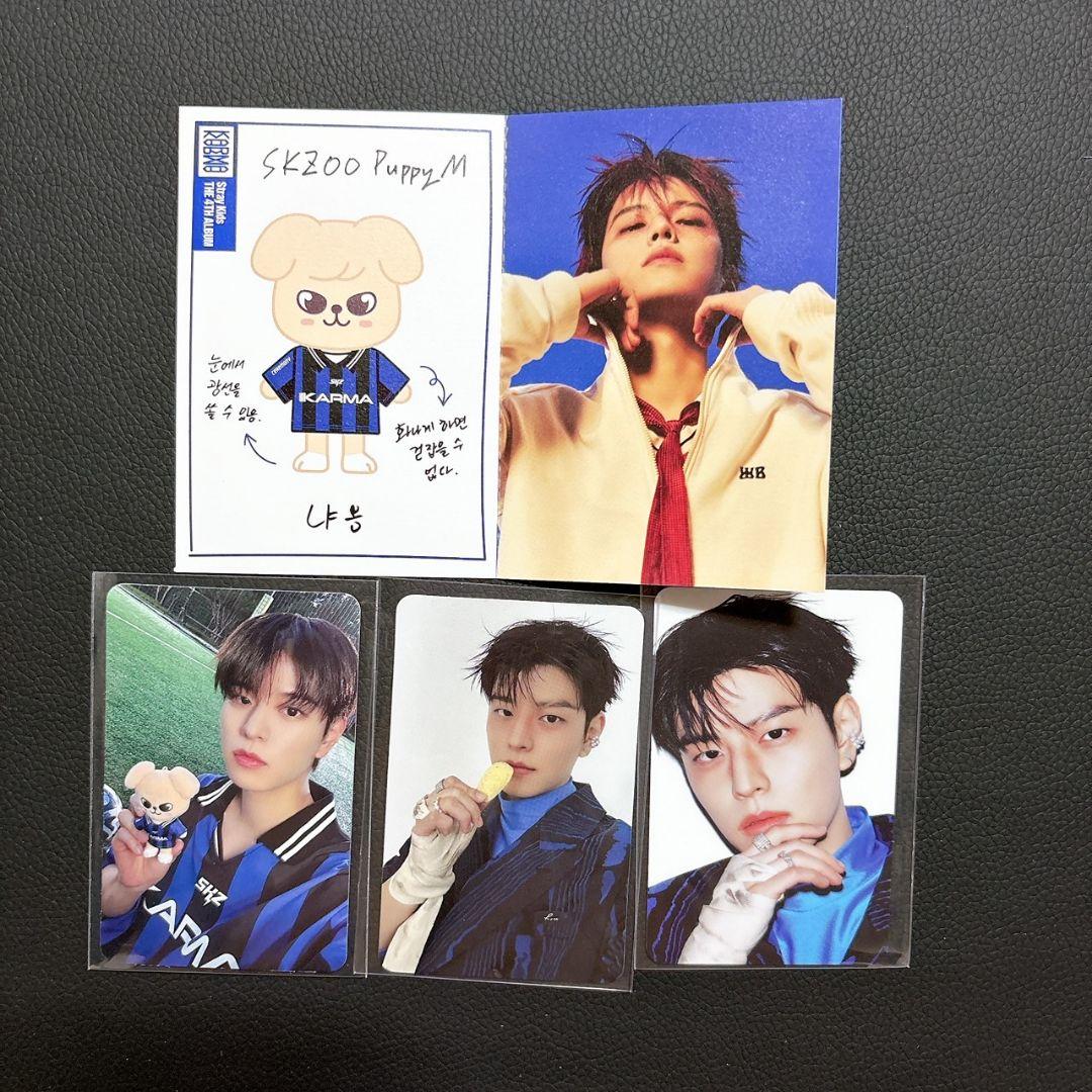 

[Б/У] Stray Kids KARMA Альбом Сынмин Профильная карточка Торговая карточка