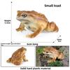 Animal Childrens Frog Plastic Model Toy For Educational Play Gift Collectors