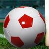 Pallone da Allenamento in PVC Ziwuqian