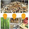50/100/200Pcs Tees Golf Tees Bamboo Tee Golf Balls Holder 4 Sizes 42mm,54mm,70mm,83mmAvailable Stronger Than Wood Tees Drop Ship