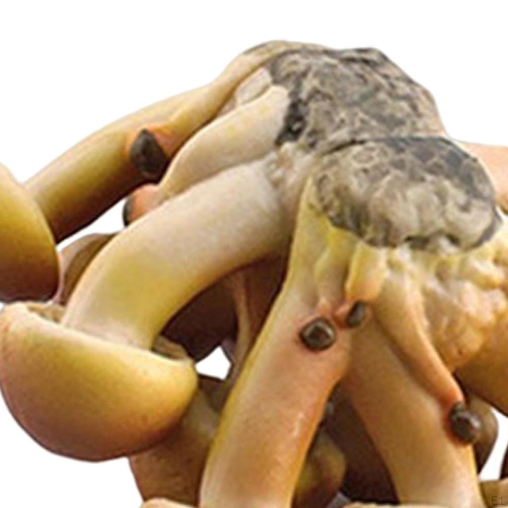 4 Piece Mushroom Model Decoration Figures for Nursery Storytelling Toddlers Unisex