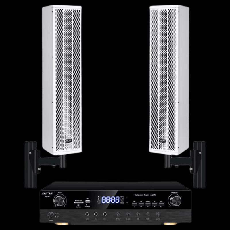 

SAST SH-415 Professional Conference Passive Column Speaker System (CN version)