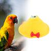 Parrot Recovery Collar Small Medium Birds Soft Breathable Neck Sleeve Lovebirds Hamsters Chickens Ducks Adjustable Fastener Tape Bird Collar