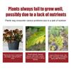 Gardening Slow Release Tablets Organic Fertilizers Strong Root for Garden