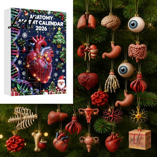 Medical Student Gift Anatomy Advent Calendars 2026 24 Days Organs Ornaments Christmas Countdown Calendar 2D Pendant Decoration Acrylic Human