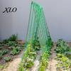 Outdoor Agricultural Climbing Support Trellis Netting for Plants, Heavy Duty Plastic Garden Square Mesh Morning Glory Netting, Plant Net Cucumbers