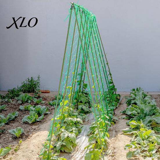 Outdoor Agricultural Climbing Support Trellis Netting for Plants, Heavy Duty Plastic Garden Square Mesh Morning Glory Netting, Plant Net Cucumbers