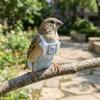 Adjustable Pet Parrot Diaper Snap-Closure Bird Vest Safety Parrot Nappy  for Cockatiel Pigeons