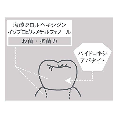 Retooth Excellent Toothpaste Gel, Dentist-Approved, 75g