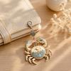 Zodiac Sign Keychain 12 with Keepsake Card, Star Pendant, Backpack Handbag Purse Charm, Inspirational Gift for Men Women Charm