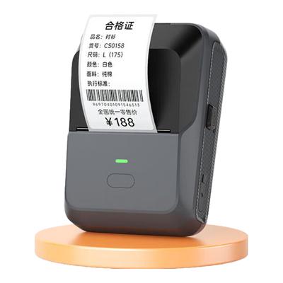 Detong P2 Portable Thermal Label Printer CN Plug (adapter Included)