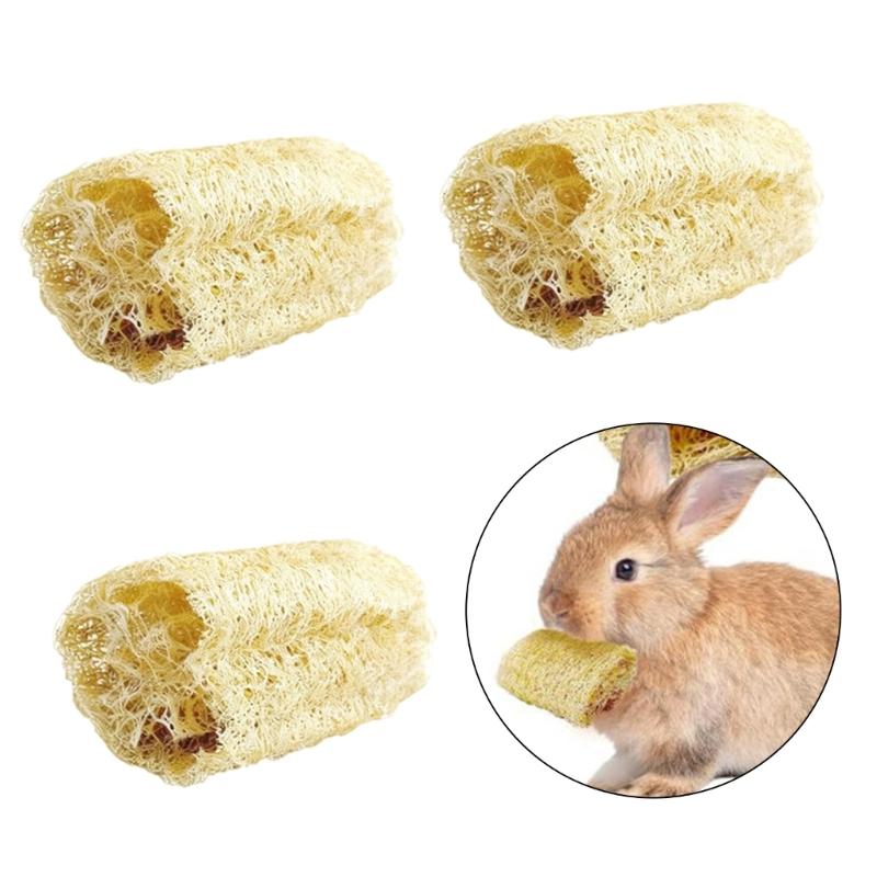 Natural Loofahs Rabbits Chew Toy for Mices Small Pet Promotes Dental Health Safe Durability Fun Play