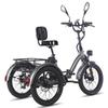 FAFREES F20 Mate Electric Tricycle 48V 23.45Ah Battery 500W 20 Inch Tires With Mirror And Rear Basket