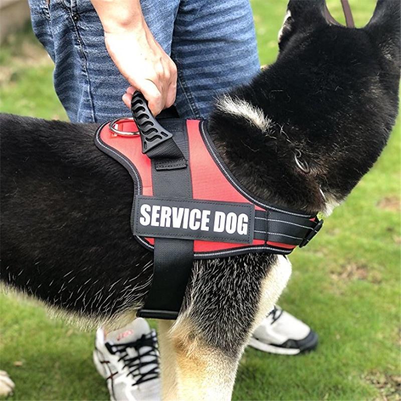 Buy Dogs Reflective Service Dog Vest Harness With Hook and Loop Straps