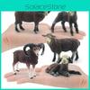 Bauernhof Schwarzes Schaf Ziege Lamm Modell PVC Schwarzes Schaf Lamm Kinder Pädagogisches Spielzeug Für Kinder