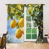 Set Of 2 Versatile Polyester Transparent Curtains Home Decoration Lemon Tree Use Bedrooms Living Rooms Curtain Ideal For Room