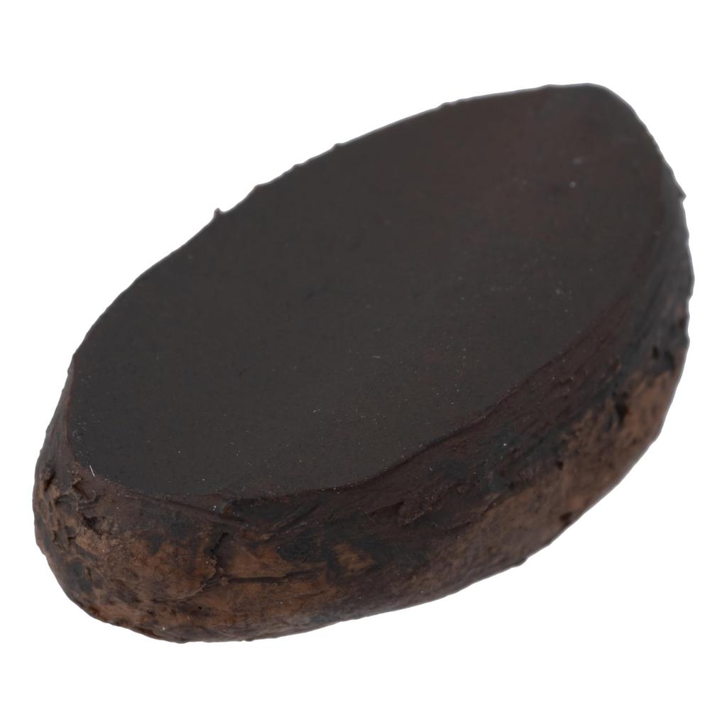 Nihon Sample Food Sample Cocoa Beans, 13mm W x 23mm H, Set of 15, 3103