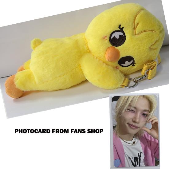 Stray Kids SKZOO Plüschtasche celebrATE ( mit POB von FANS)