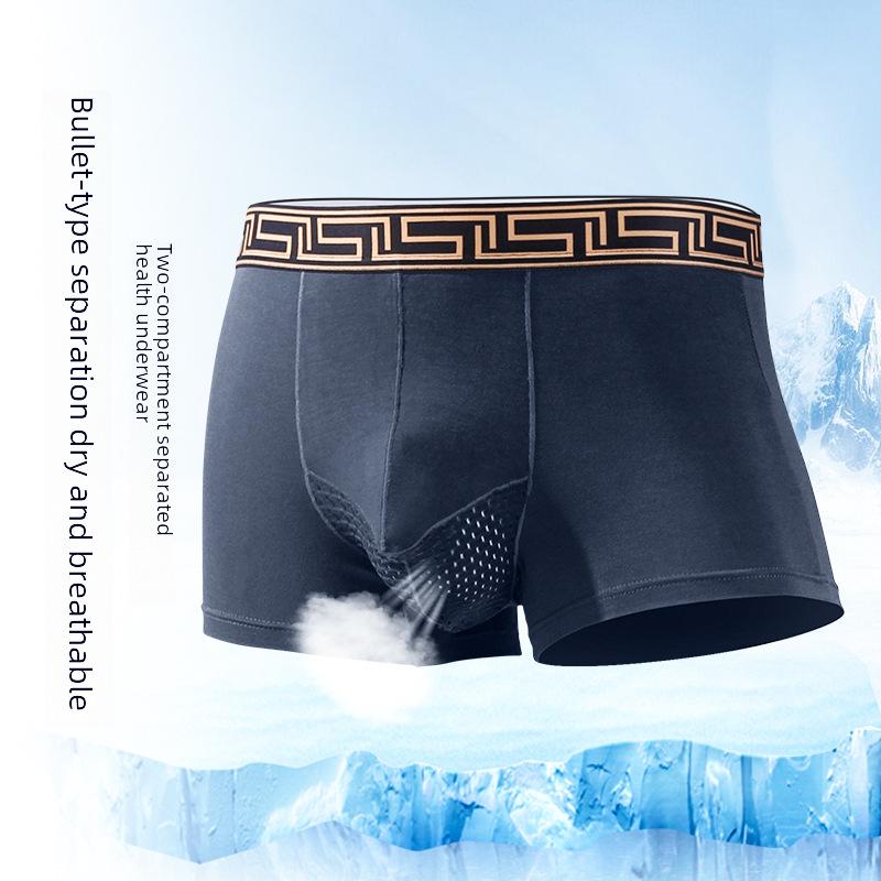Men's Elephant Underwear, Ice Silk Breathable Mesh U-Convex Large Size Boxer Briefs