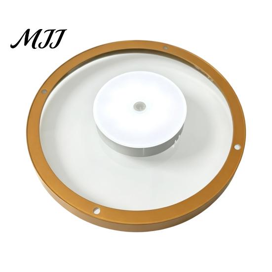 Luxury Metal Wall Organizer Floating Shelf with LED Light, Modern Gold Display Rack Shelves Led Lights for Plants Book, Space Saving Mounted