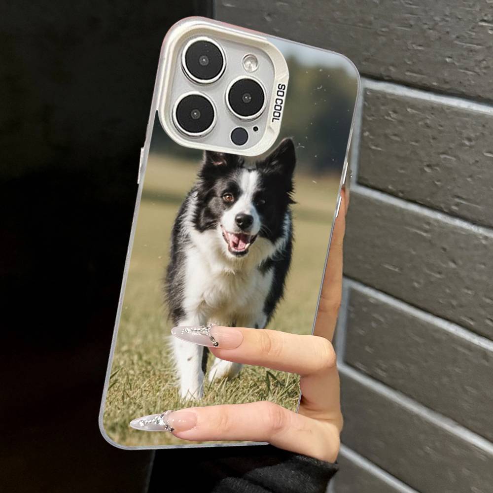 

Border Collie Dog Phone Case For iPhone 17 Air 16 15 14 11 12 13 Pro Max Plus X XR XS Colored Silver Hard Cover iPhone 11pro max