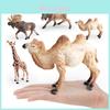 Realistic Animal Figures Pvc Camel Giraffe Kids Educational Toys Safari Wildlife Decorations For Children