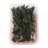 Dried Flowers Kit Real Natural Bulk DIY Handmade Everlasting Compressed Dried Flower Colorful Embossing Flowers Jewelry Supplies