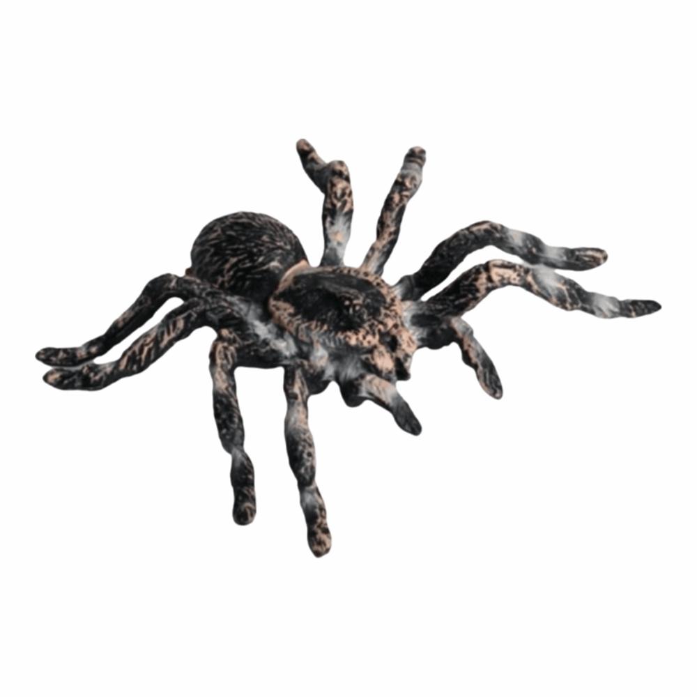 Spider Bee Animals Model Set Simulation Children Novelty Toy New Insect Model Figures  Horror Props