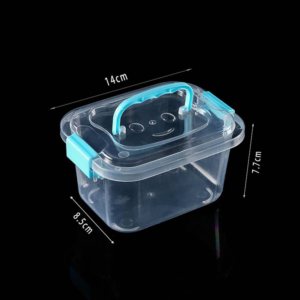 Convenient Carry Handle Storage Box Transparent Container Easy Visibility Design 0.5L